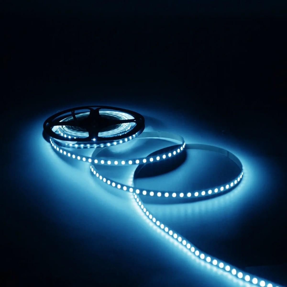 фото лента gauss 6,5w/m 120led/m 2835smd холодный белый 5m 312000265 | 220svet.ru