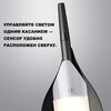 Миниатюра фото торшер диммируемый со сменой цветовой температуры  novotech ala 359543 черный | 220svet.ru