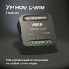 Миниатюра фото умное одноканальное реле elektrostandard wi-fi 76006/00 | 220svet.ru