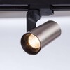 Миниатюра фото трековый однофазный светильник arte lamp bucho a2668pl-1ss | 220svet.ru