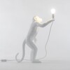 Миниатюра фото настольная лампа monkey lamp outdoor standing seletti | 220svet.ru