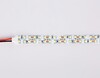Миниатюра фото светодиодная лента дневной белый ambrella light 19,2w/m 240led/m 2835smd 6500к 5m gs1603 | 220svet.ru