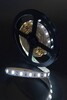 Миниатюра фото лента swg 12w/m  60led/m 5630smd холодный белый 5m swg660-12-12-w-m 009476 | 220svet.ru