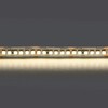 Миниатюра фото светодиодная лента дневной белый lightstar 24w/m 240led/m 5m 421024 | 220svet.ru