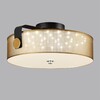 Миниатюра фото потолочный светодиодный светильник lumion drumy 6597/40l черный, античная латунь | 220svet.ru