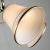 Миниатюра фото потолочная люстра arte lamp blossom a2709pl-5ab | 220svet.ru
