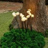 Миниатюра фото светильник на солнечных батареях uniel usl-s-832/pm030 fairy mushrooms set25 ul-00011677 | 220svet.ru