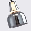 Миниатюра фото подвесной светодиодный светильник favourite gaudi 4243-1p | 220svet.ru