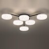 Миниатюра фото потолочная светодиодная люстра с пультом ду lumion didana 8236/6cl черный | 220svet.ru