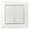 Миниатюра фото выключатель одноклавишный эра intro solo 10a 250v с подсветкой перламутровый 4-102-06 б0053568 | 220svet.ru