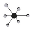 Миниатюра фото потолочная люстра lumion torina 8344/6c черный | 220svet.ru