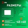 Миниатюра фото прожектор светодиодный уличный эра lpr-025-green-030 б0064672 | 220svet.ru