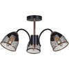 Миниатюра фото потолочная люстра reluce 01505-0.3-03 bk+fgd | 220svet.ru