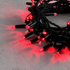 Миниатюра фото гирлянда нить с колпачком 10м красная 24в, 100 led, провод черный пвх, ip65 ltc pst100cap-11-1r | 220svet.ru