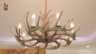 Миниатюра фото подвесная люстра st luce corna sl154.703.08 | 220svet.ru